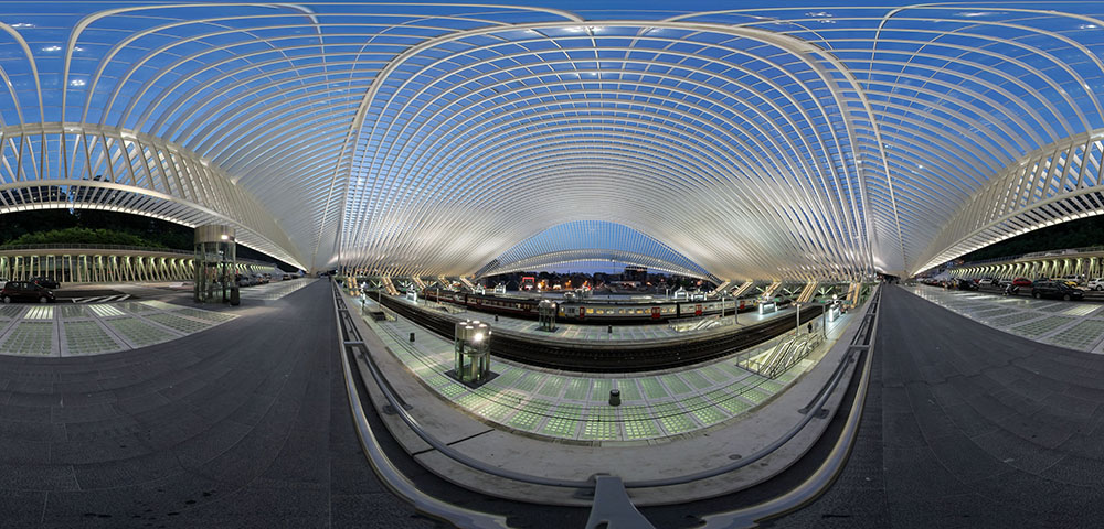 Under the Vault, at the Blue Hour - Guillemins Station
