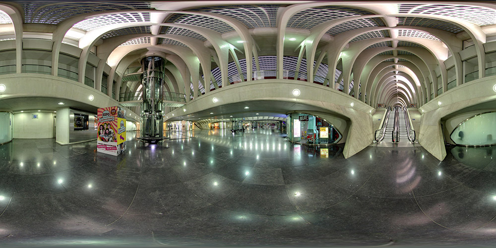 The Intermediate Level - Guillemins Station