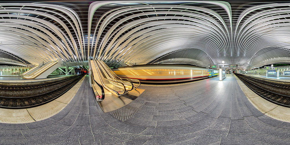 The Platform, the Train, the Escalator - Guillemins Station