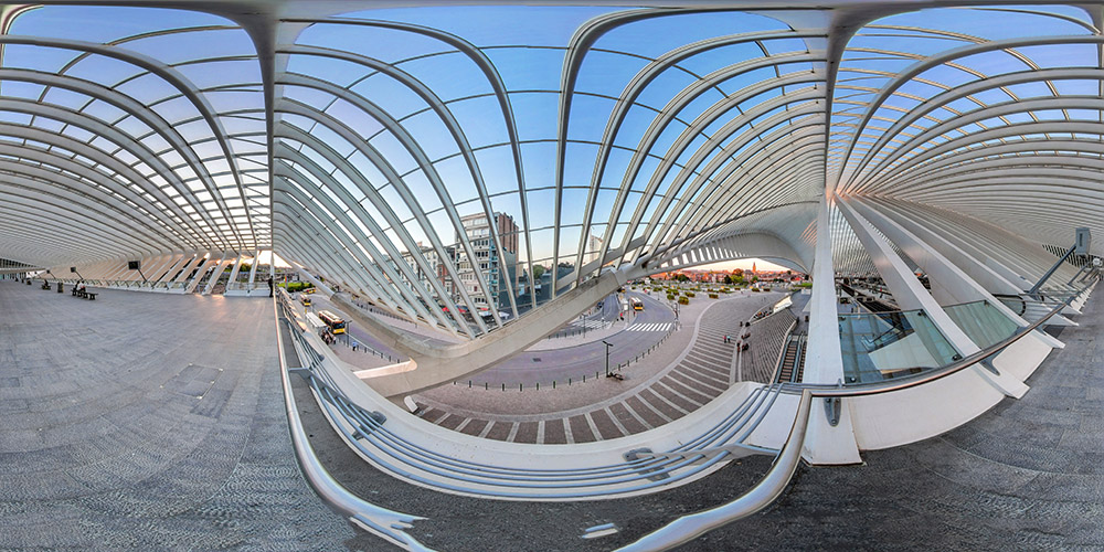 Calatrava's Skeleton - Guillemins Station