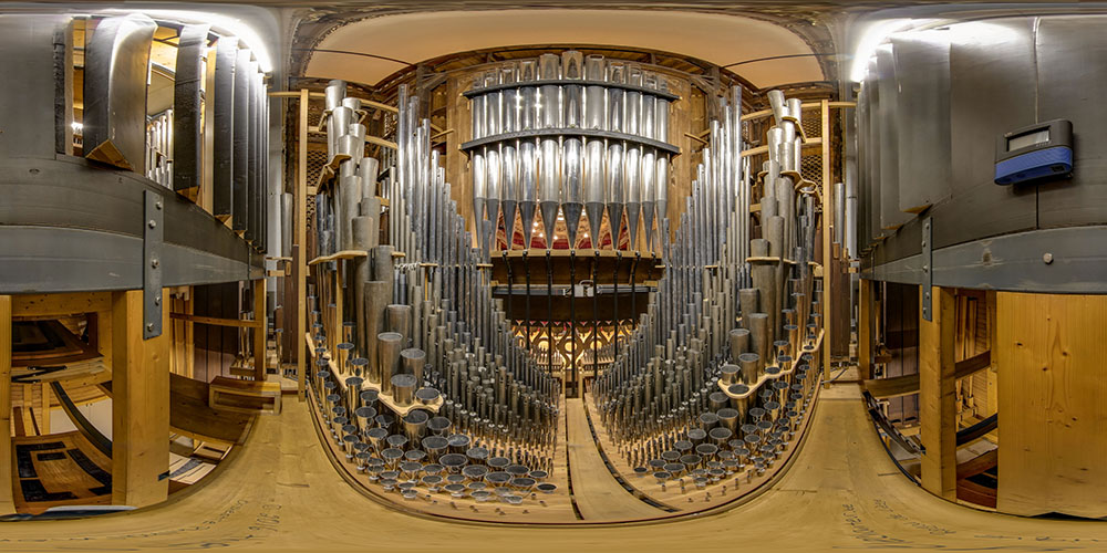 Inside the Organ