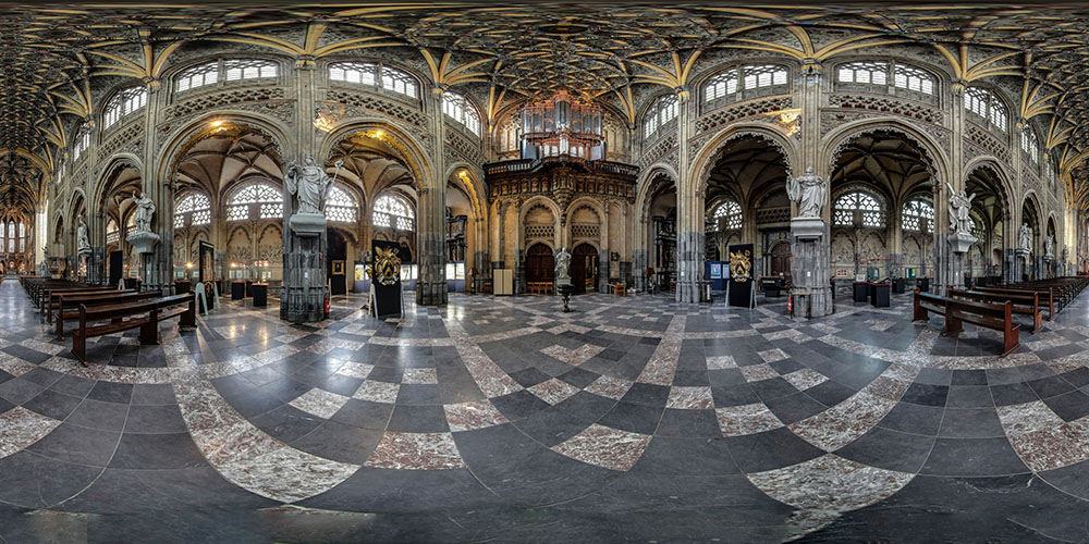 The Entrance, the Organ and the Flamboyant Vault - Saint James